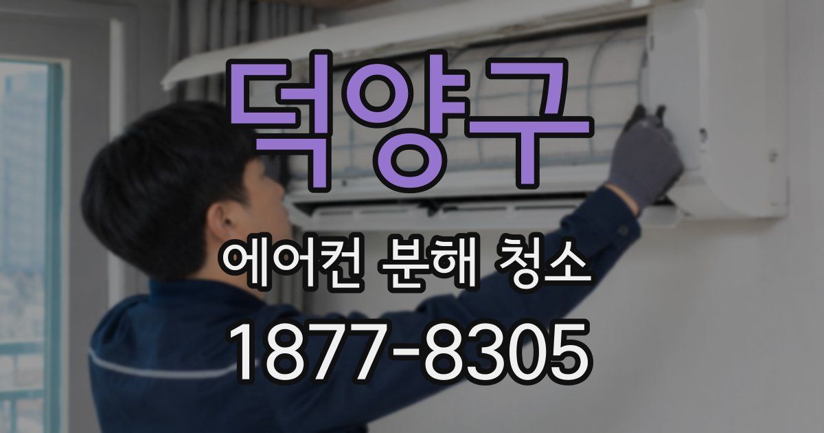 덕양구 에어컨 분해 청소