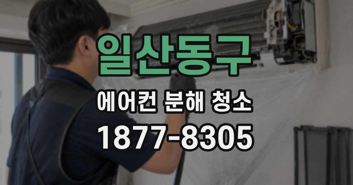 일산동구 에어컨 분해 청소