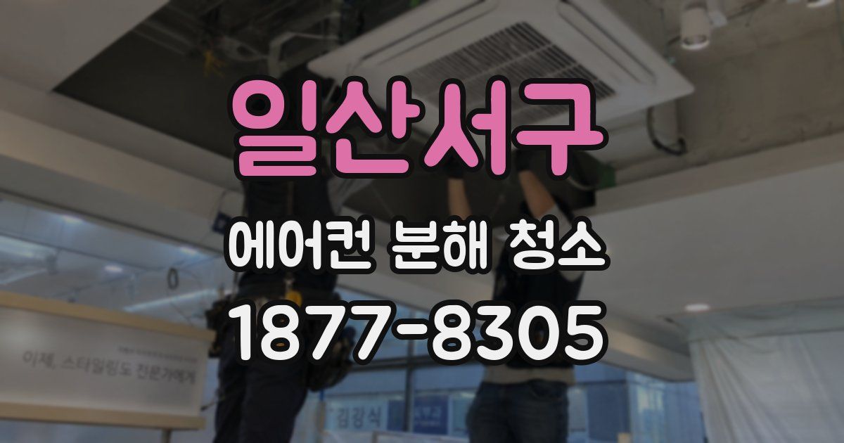 일산서구 에어컨 분해 청소