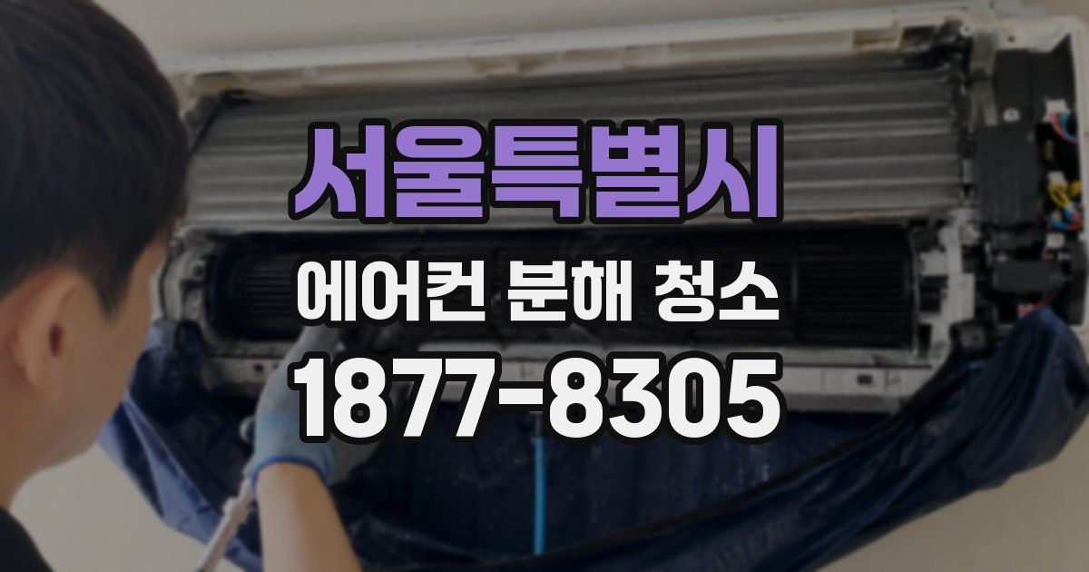 서울특별시 에어컨 분해 청소