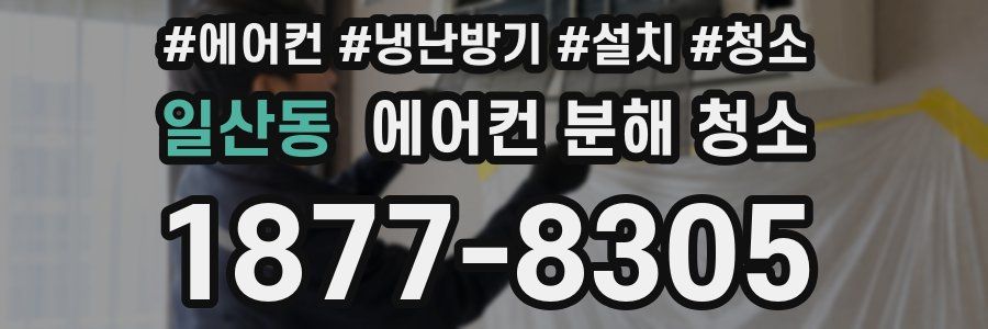 일산동 에어컨 분해 청소