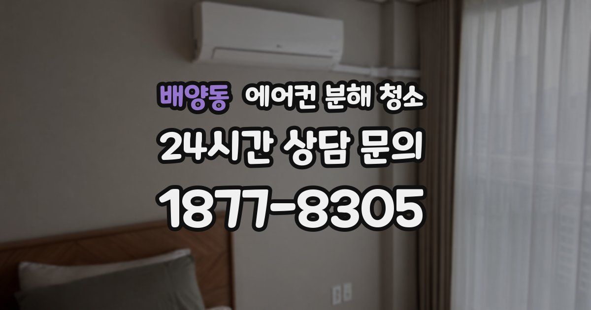 배양동 에어컨 분해 청소