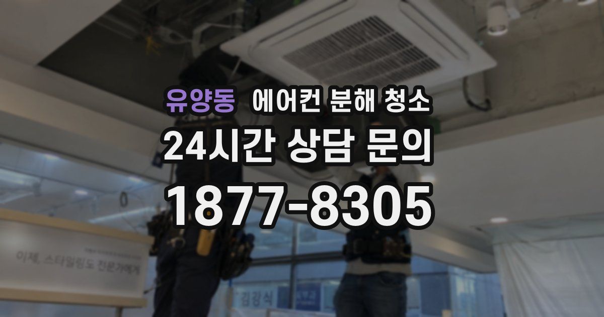 유양동 에어컨 분해 청소