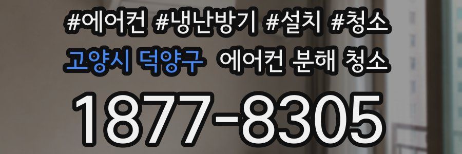 고양시 덕양구 에어컨 분해 청소