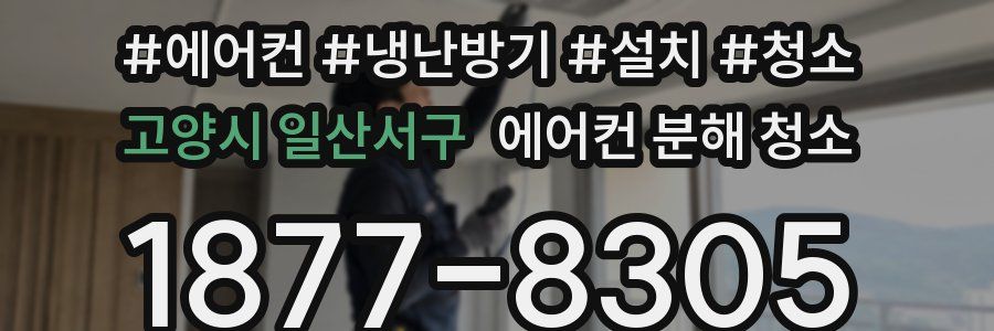 고양시 일산서구 에어컨 분해 청소