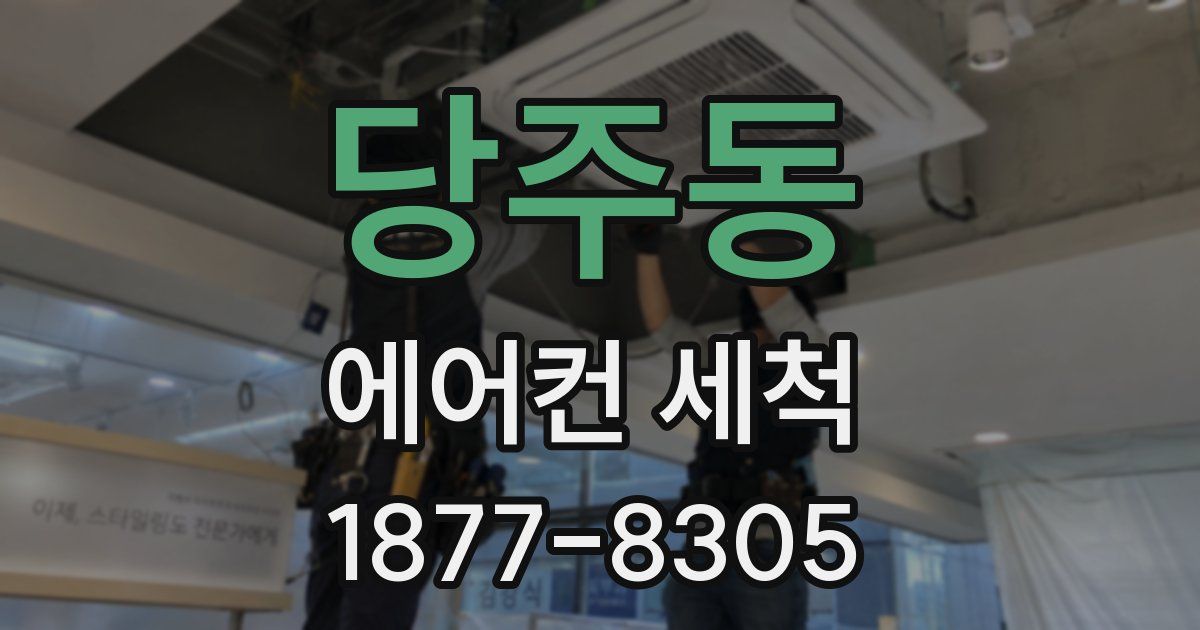 당주동 에어컨 세척