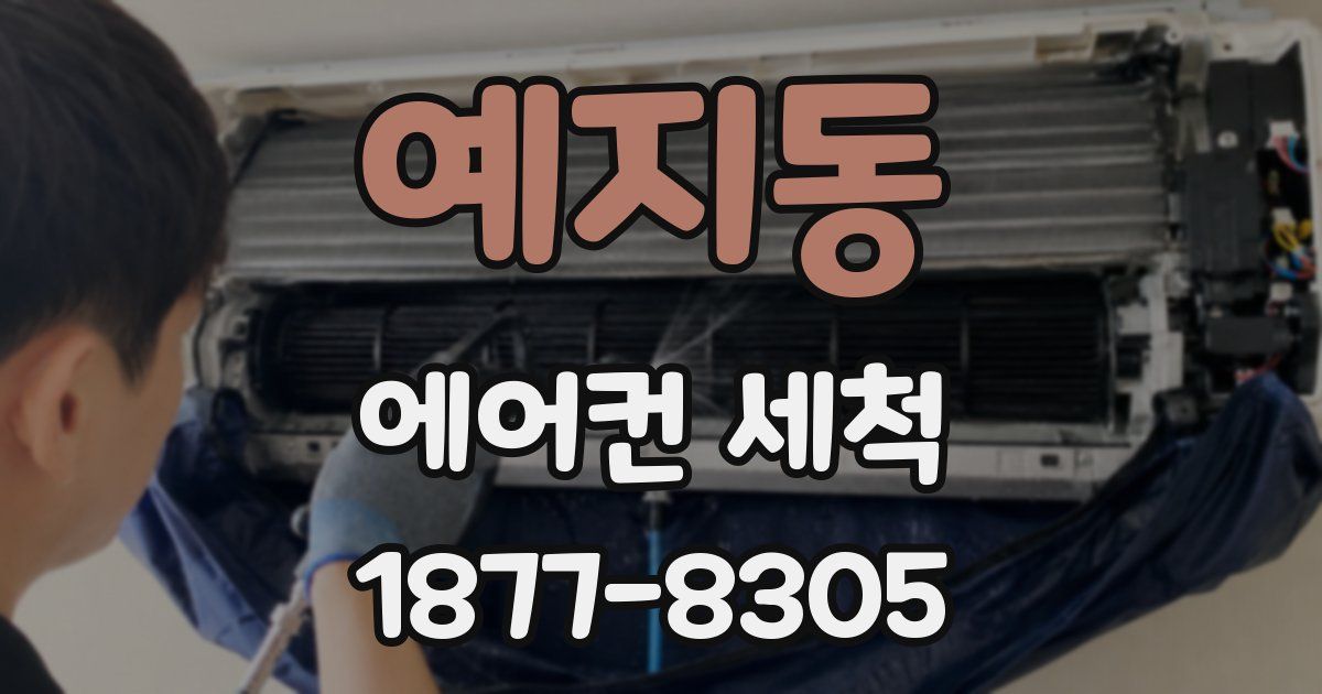 예지동 에어컨 세척