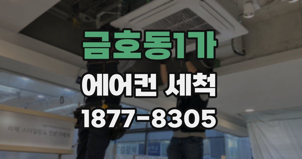 금호동1가 에어컨 세척