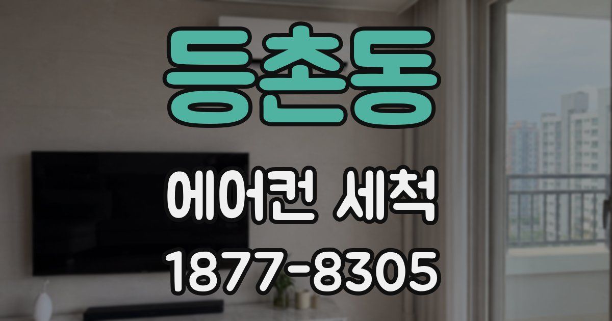 등촌동 에어컨 세척