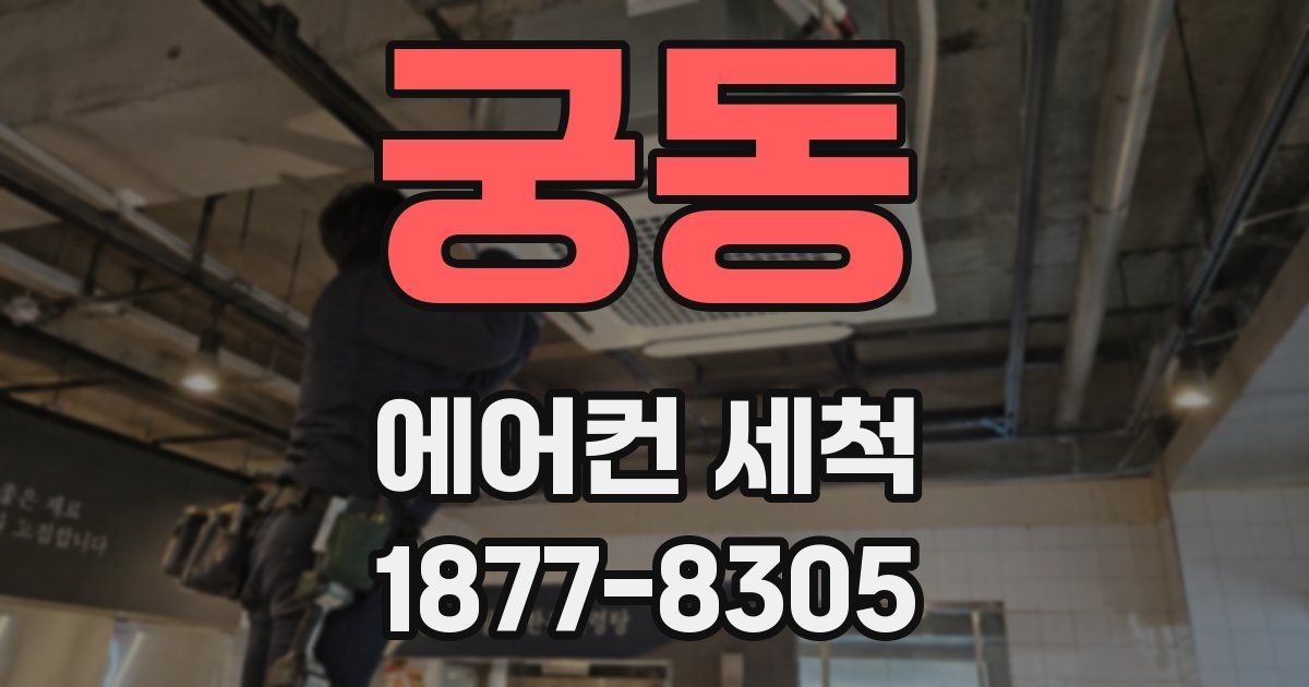 궁동 에어컨 세척