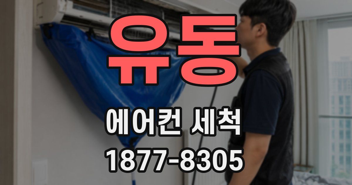 유동 에어컨 세척