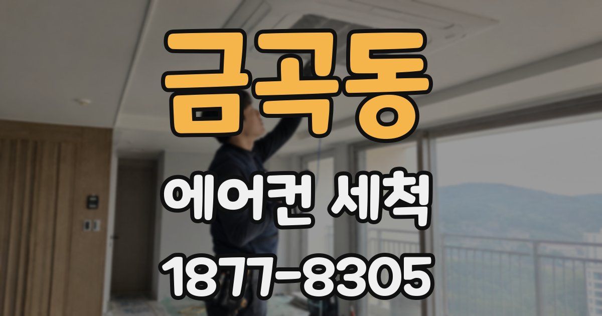 금곡동 에어컨 세척