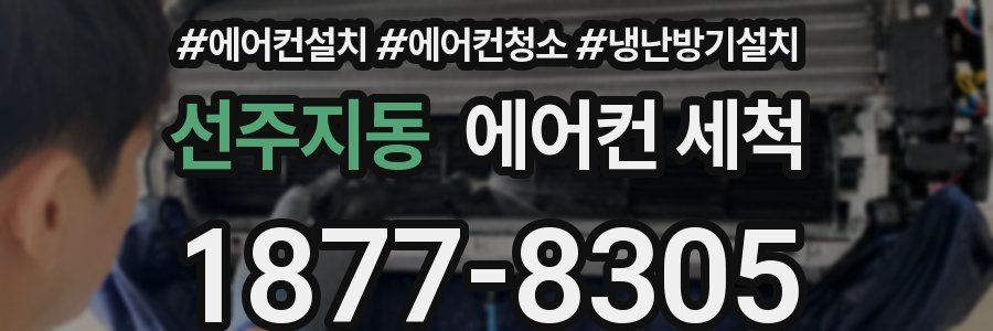 선주지동 에어컨 세척