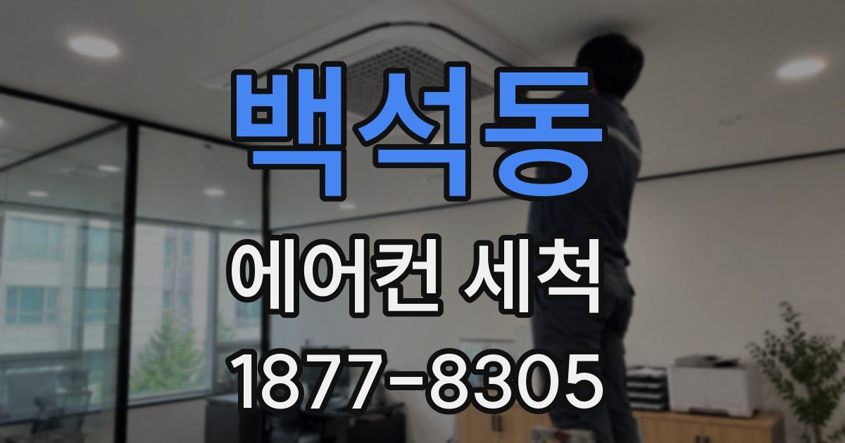 백석동 에어컨 세척