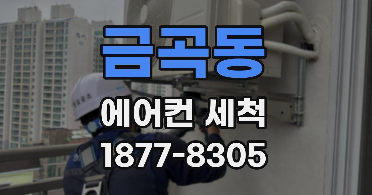 금곡동 에어컨 세척