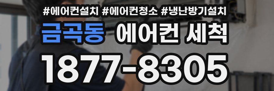 금곡동 에어컨 세척