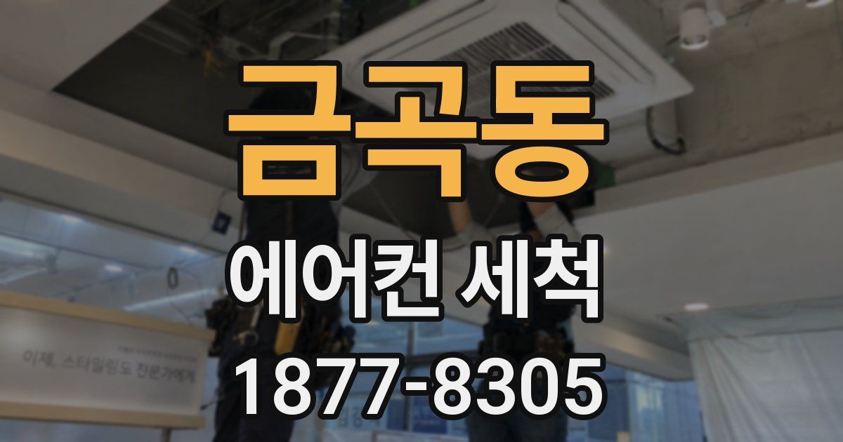 금곡동 에어컨 세척