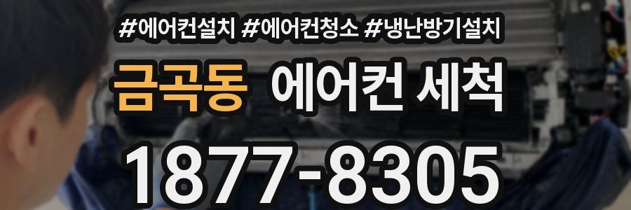 금곡동 에어컨 세척