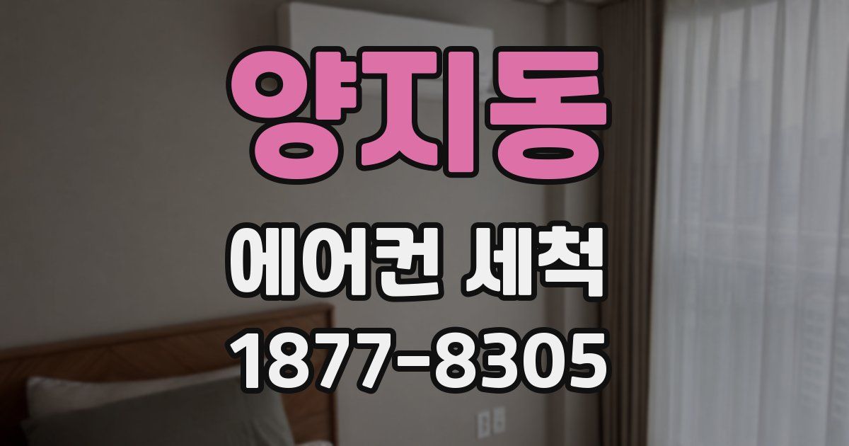 양지동 에어컨 세척