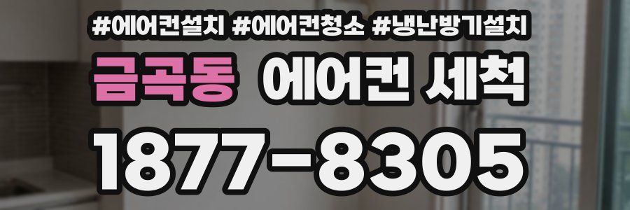 금곡동 에어컨 세척