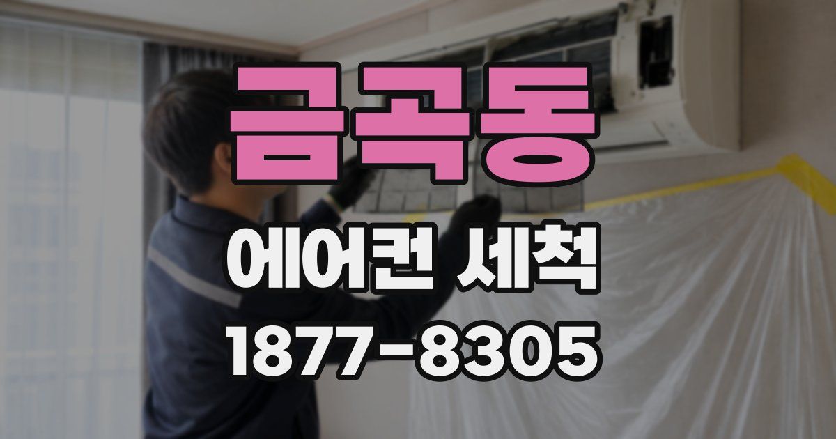 금곡동 에어컨 세척