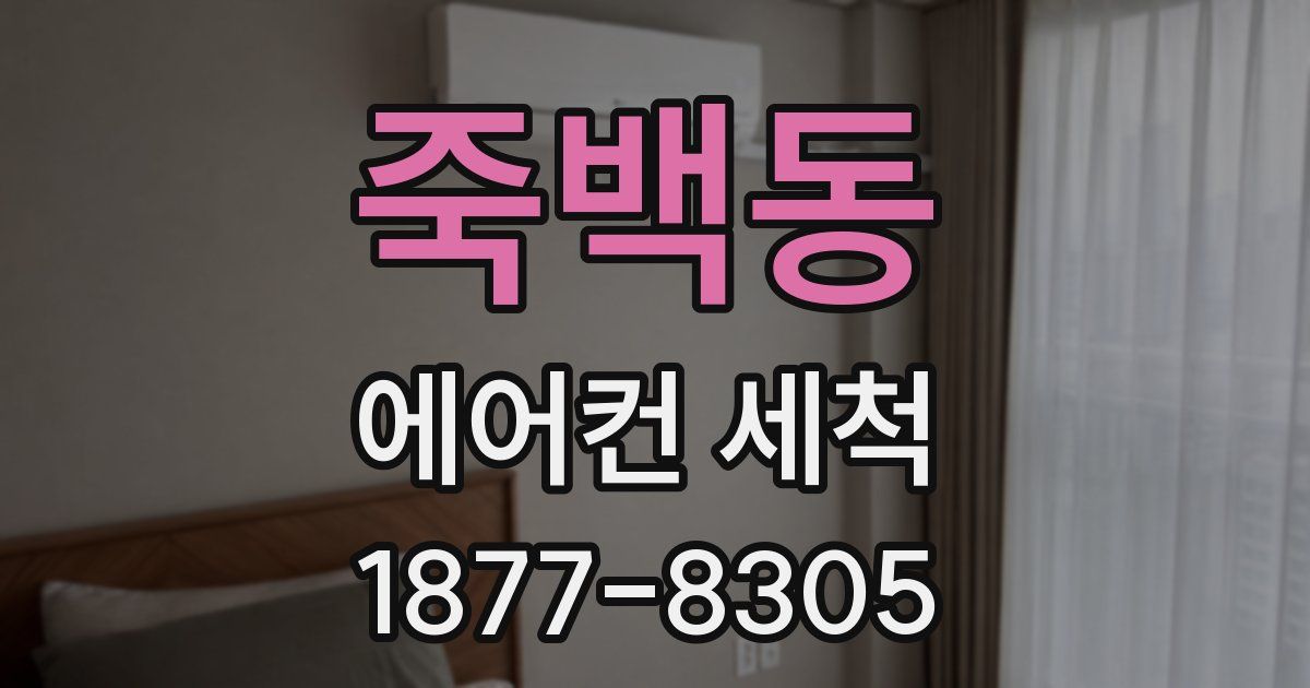 죽백동 에어컨 세척
