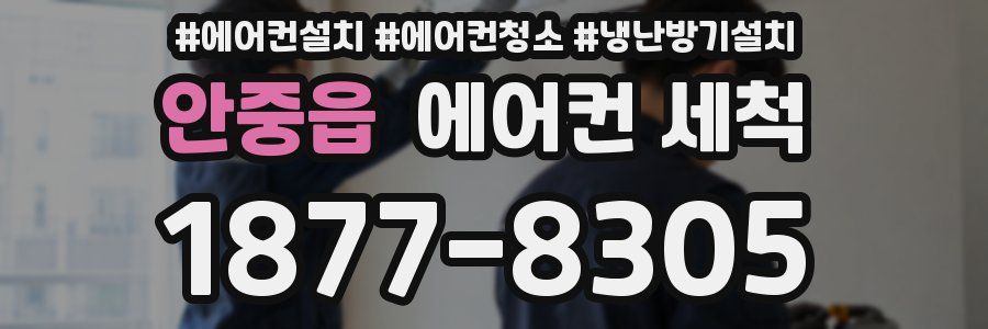 안중읍 에어컨 세척