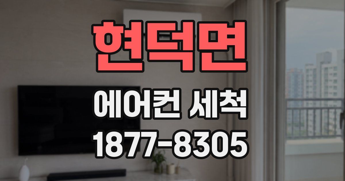현덕면 에어컨 세척