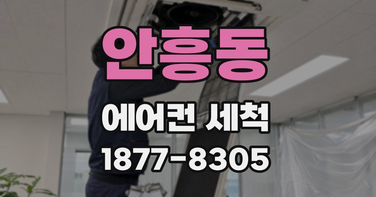 안흥동 에어컨 세척