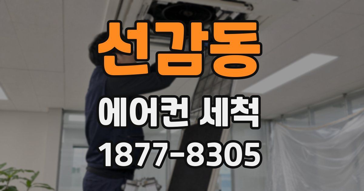 선감동 에어컨 세척