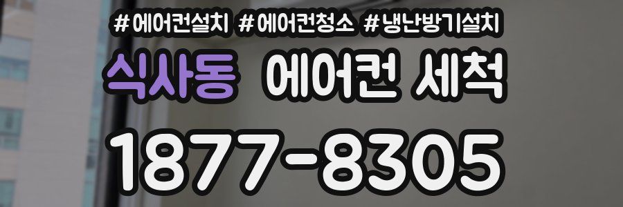 식사동 에어컨 세척