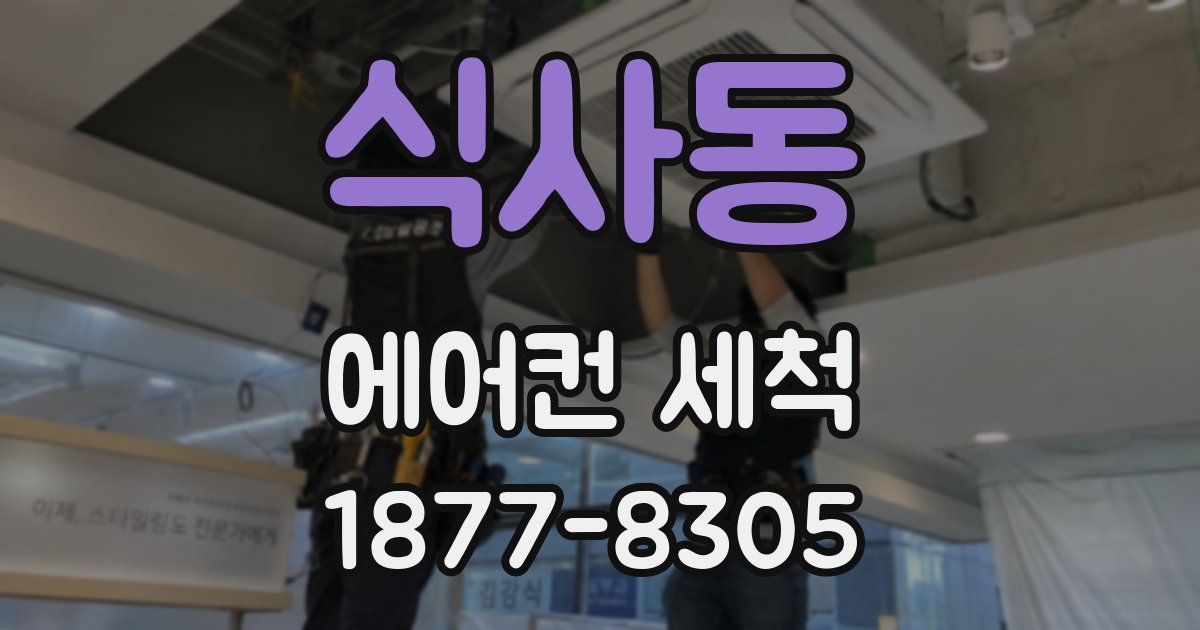 식사동 에어컨 세척