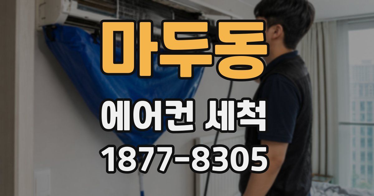 마두동 에어컨 세척