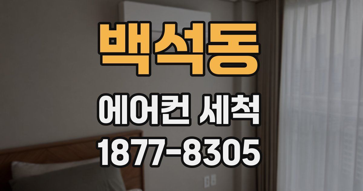 백석동 에어컨 세척