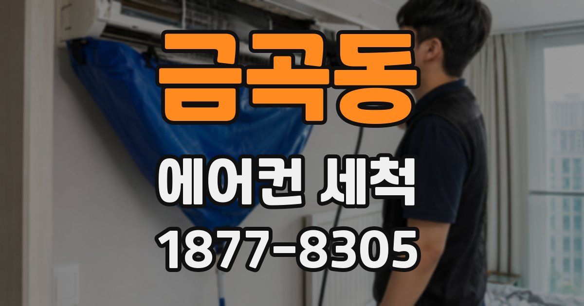 금곡동 에어컨 세척