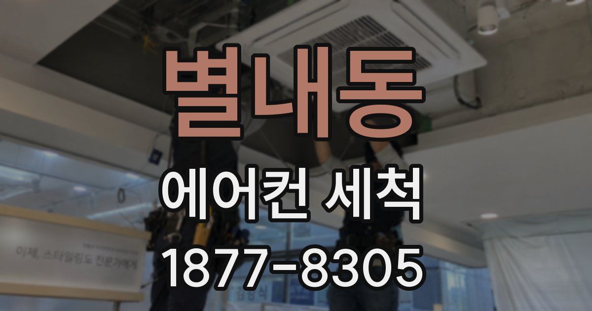 별내동 에어컨 세척