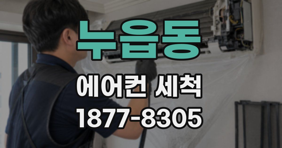 누읍동 에어컨 세척