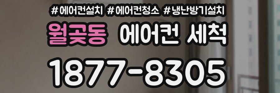 월곶동 에어컨 세척