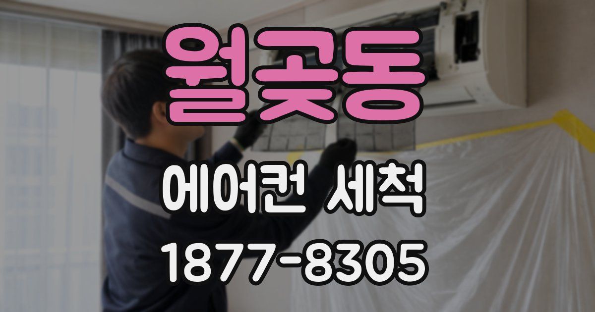 월곶동 에어컨 세척