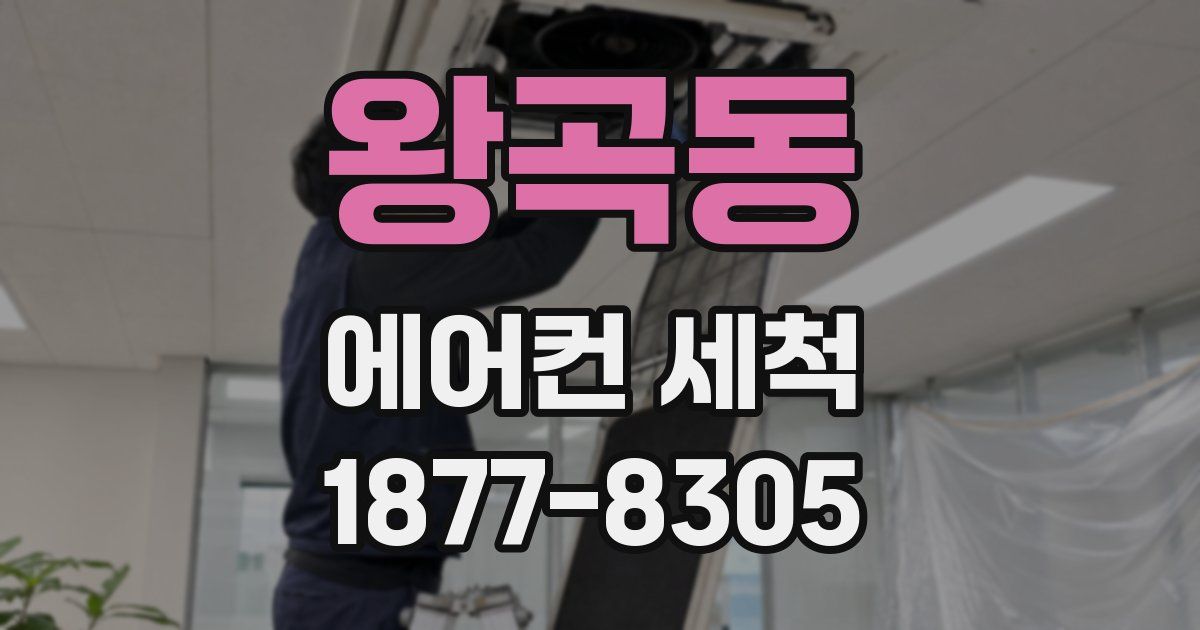 왕곡동 에어컨 세척