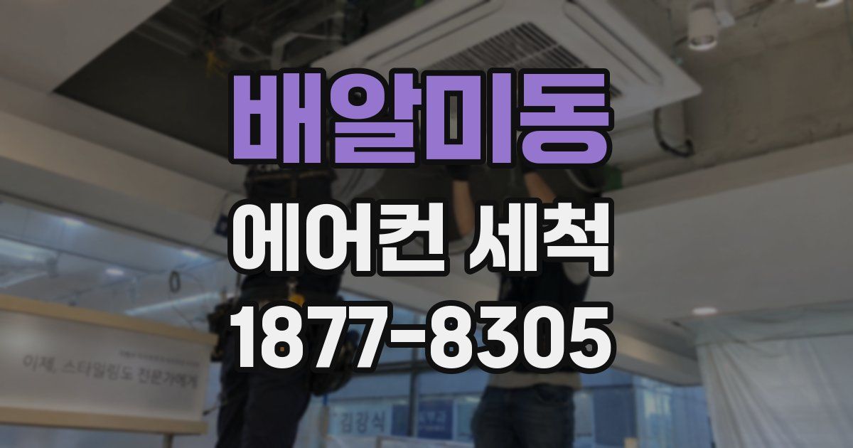 배알미동 에어컨 세척