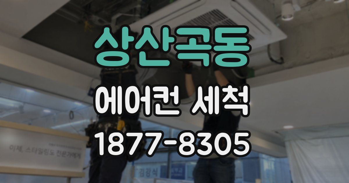 상산곡동 에어컨 세척