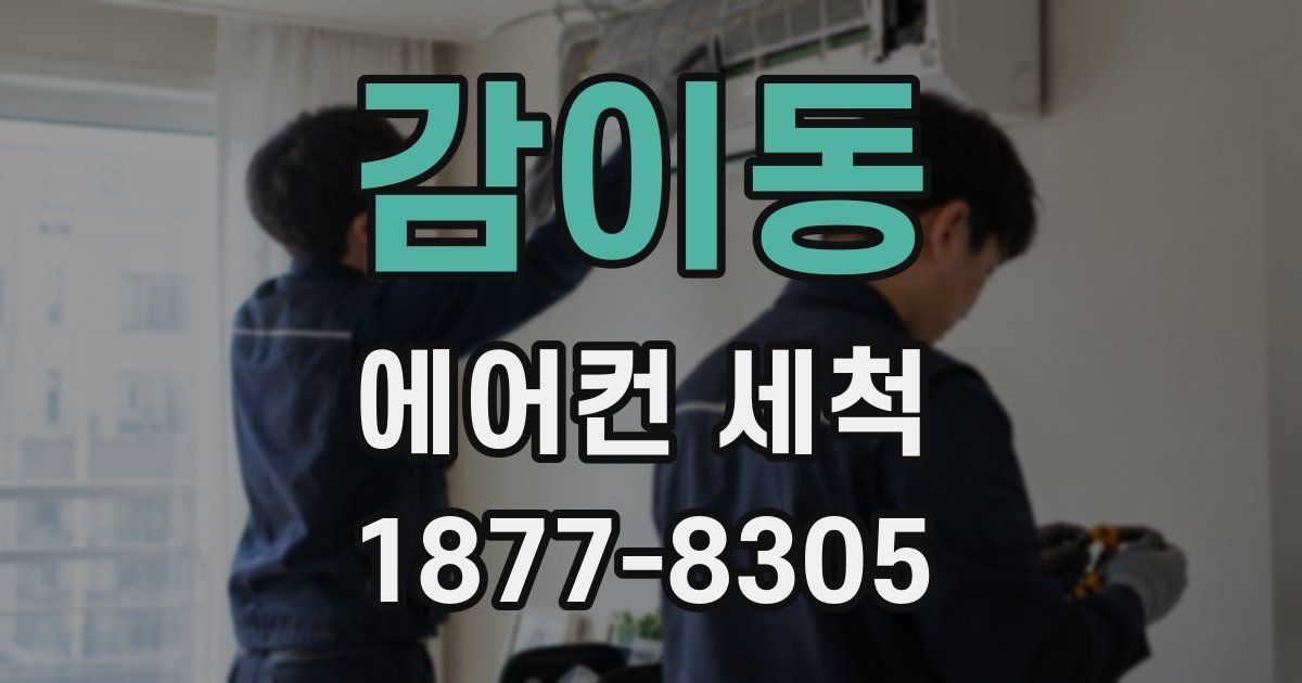 감이동 에어컨 세척