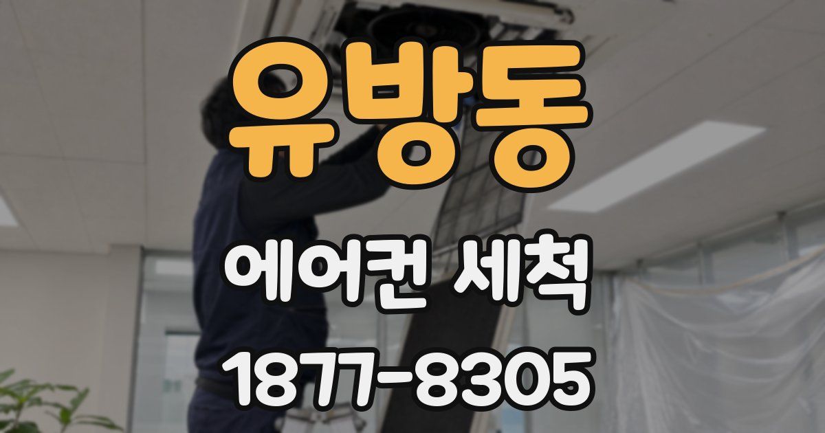유방동 에어컨 세척