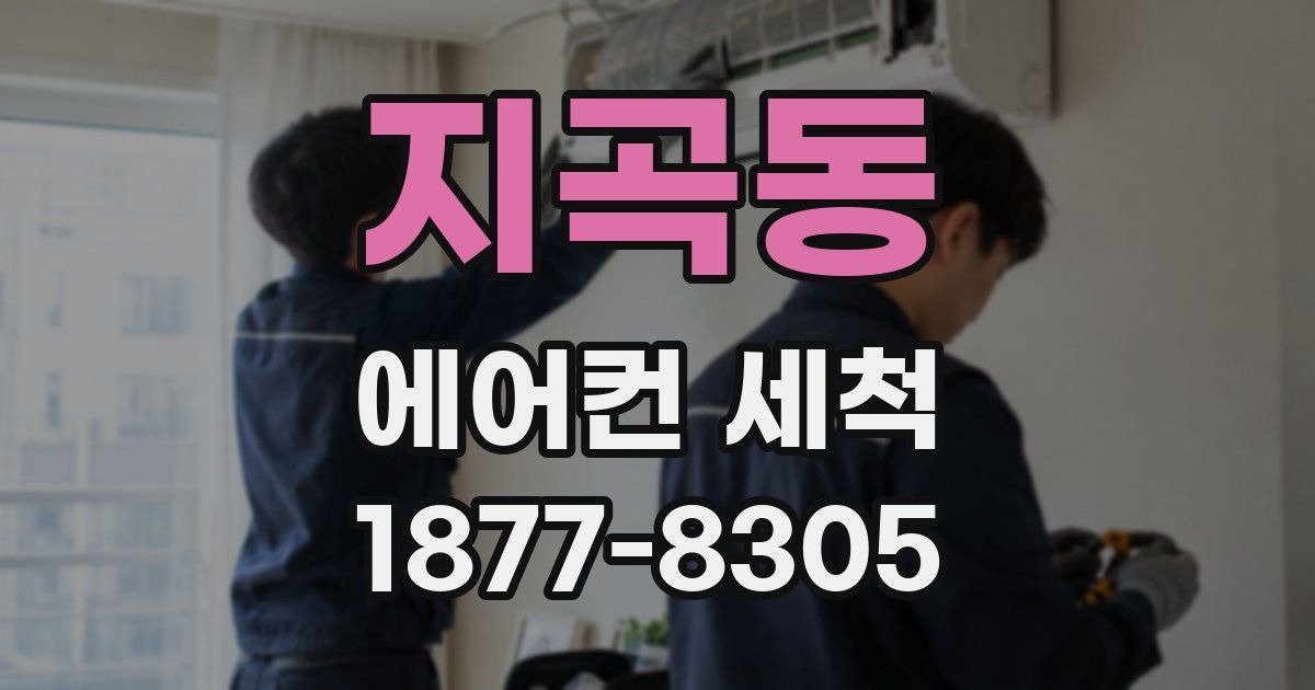 지곡동 에어컨 세척