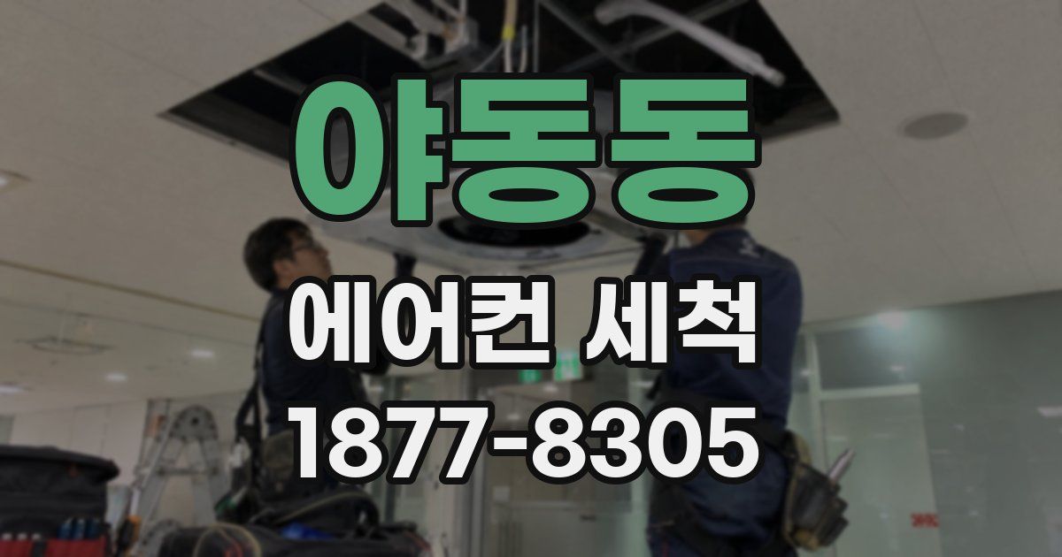 야동동 에어컨 세척