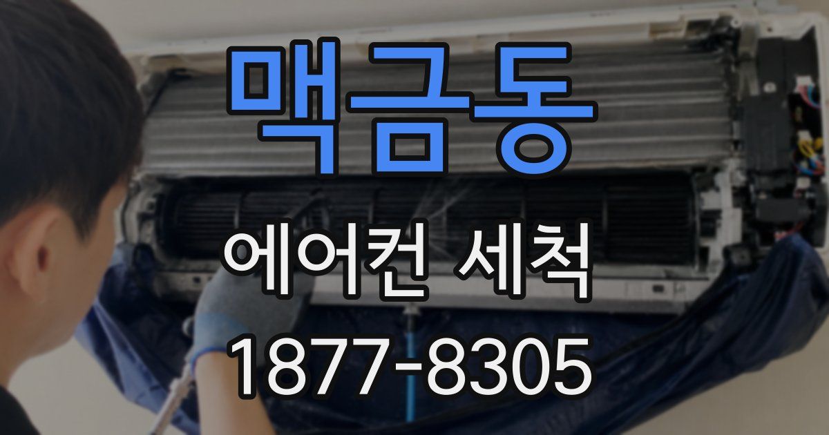 맥금동 에어컨 세척