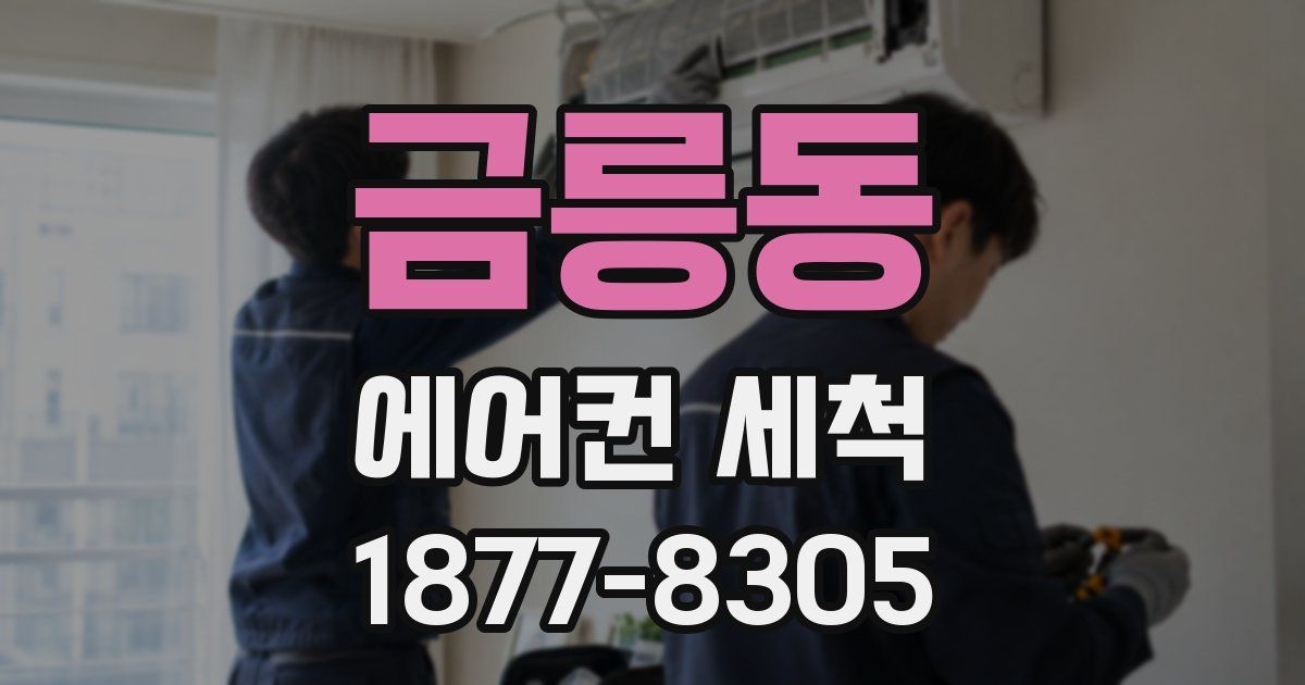 금릉동 에어컨 세척