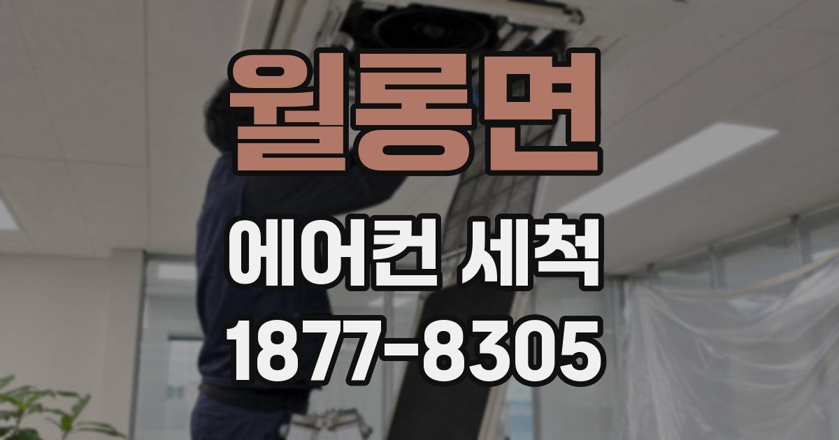 월롱면 에어컨 세척