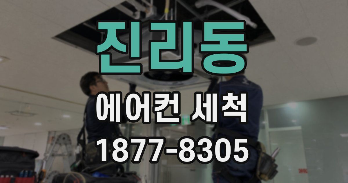 진리동 에어컨 세척
